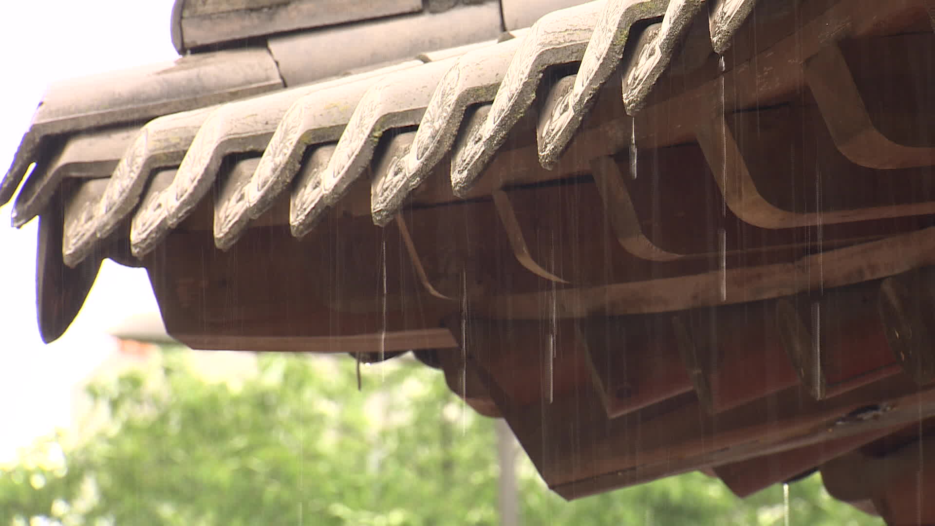 Severe Rain Warning: Heavy Rainfall Across South Korea Today and Throughout the Week