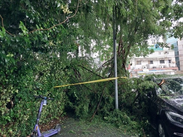 Heavy Rain in Hampyeong, South Jeolla Province: Searching for Missing Persons Amidst Severe Flooding