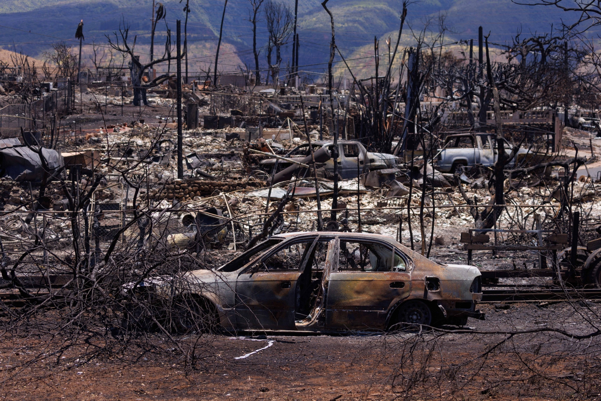 Deadly Wildfires in Hawaii Leave Record Damage: Death Toll Exceeds 110