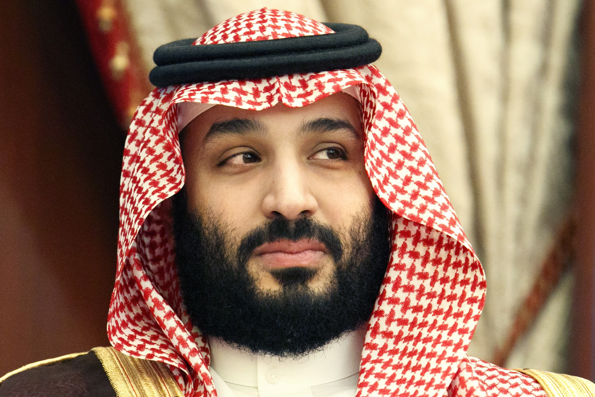 Saudi Crown Prince Invests  Billion Annually in Immortality Research