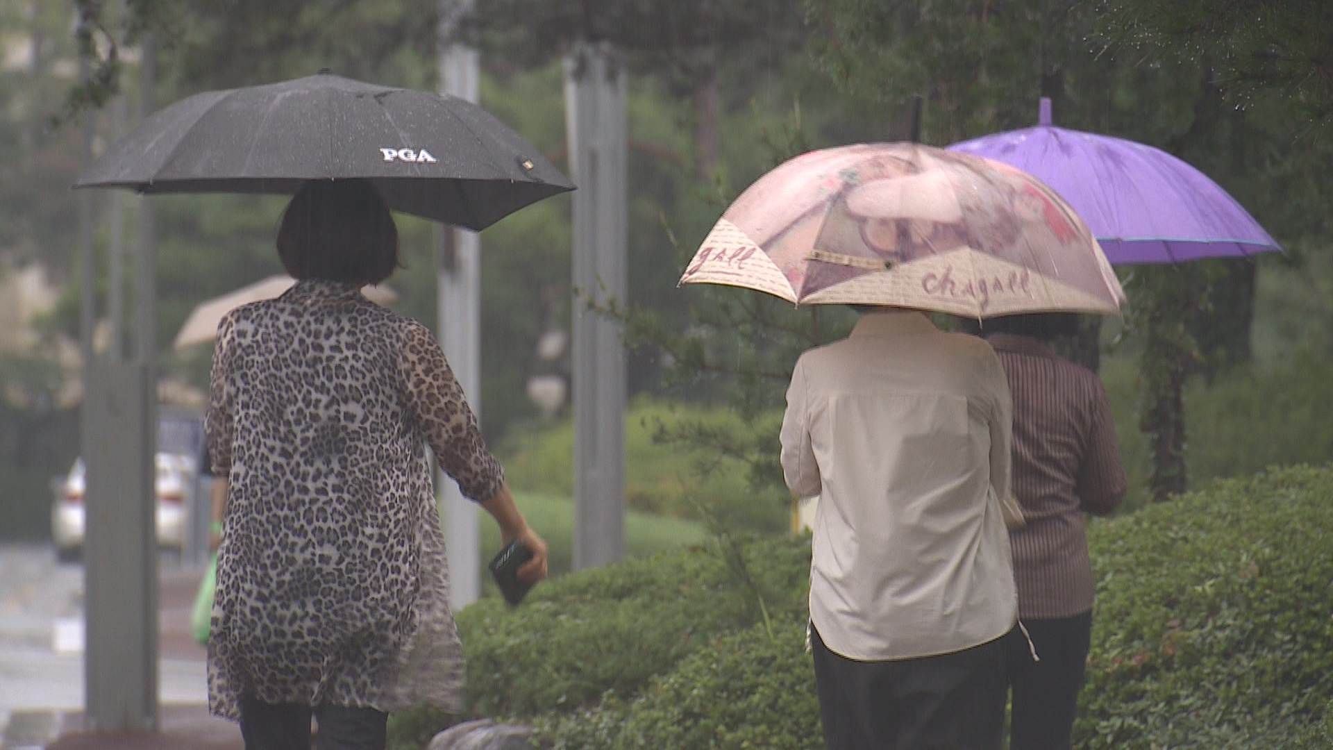 Current Weather Conditions and Forecasts for South Korea – Heavy Rain Warning in Jeju Island and Gyeongnam Region, Foggy Conditions, and Traffic Safety Precautions