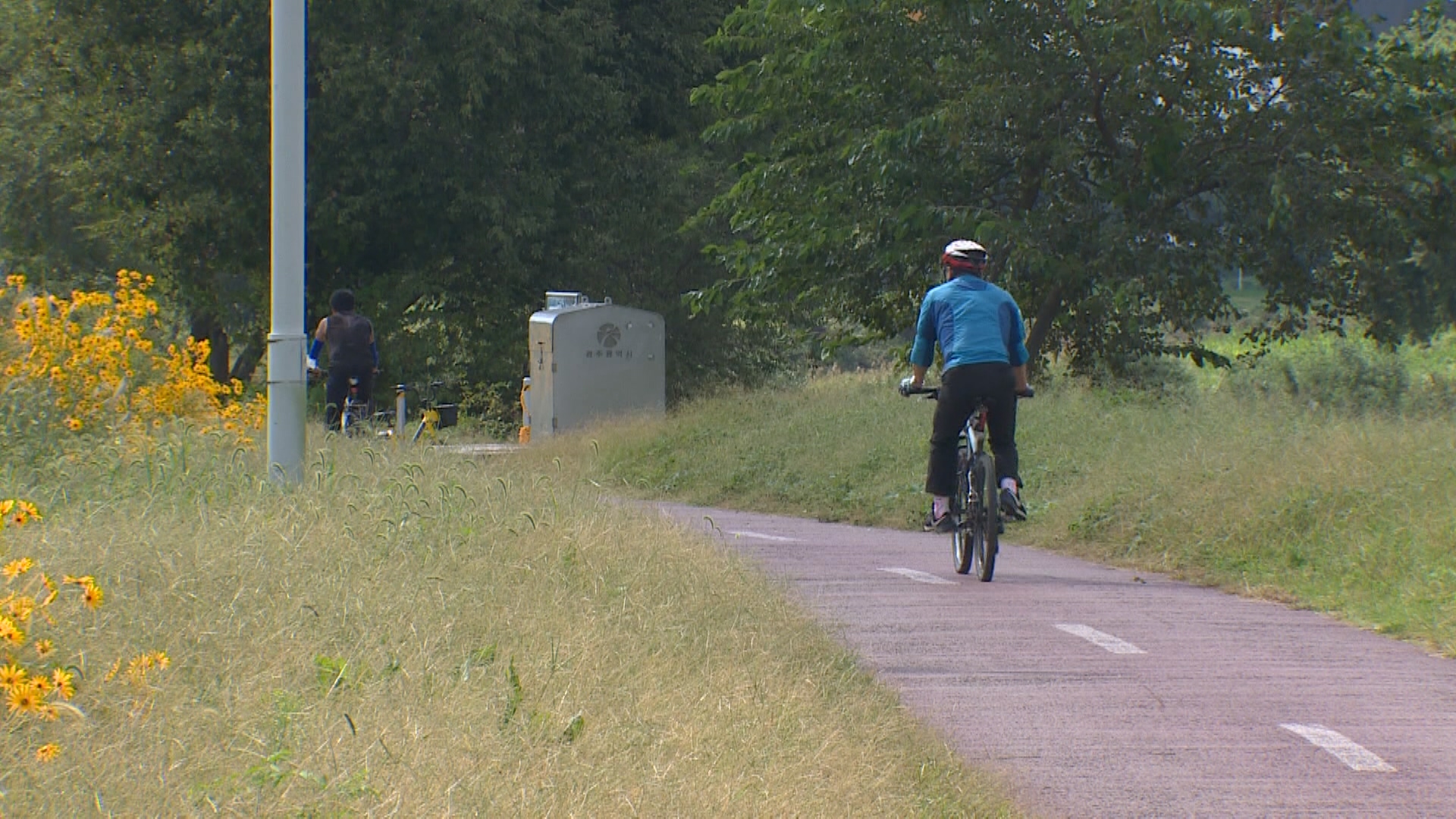 Sharp Drop in Morning Temperatures on October 5th: Chilly Commute and Health Management