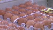 가격 강세 계란·오징어 등 수급조절…연말연시 물가안정 총력 대응